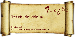 Trieb Ádám névjegykártya