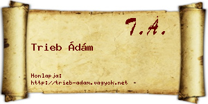 Trieb Ádám névjegykártya